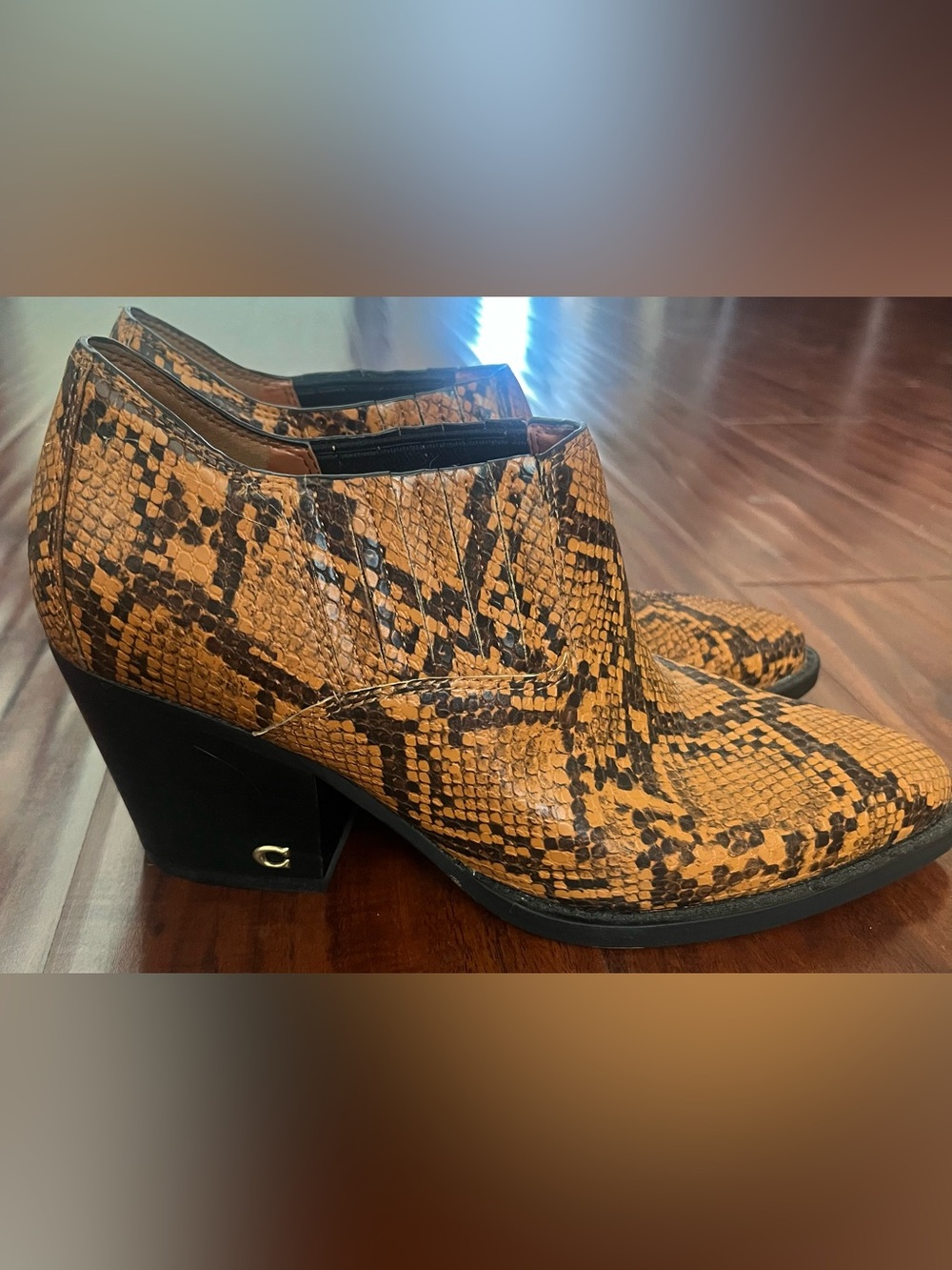 Coach Snake Skin Ankle Booties in Brown and Black